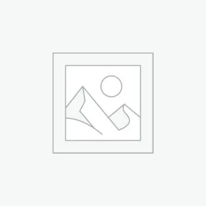 SaaS Development